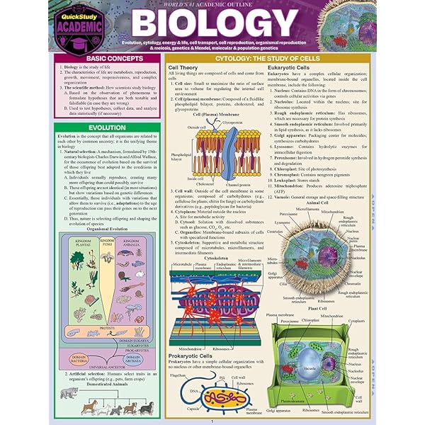 Amazon.com: Biology: A Global Approach, Global Edition